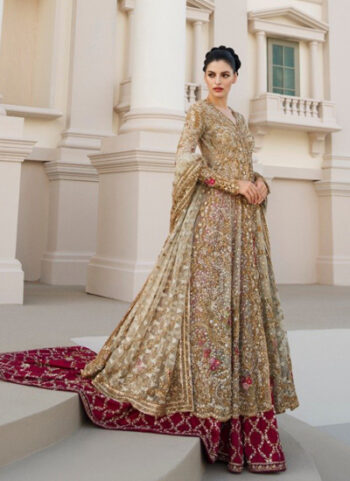 Zardoze Work Front Open Peshwas With Dupatta