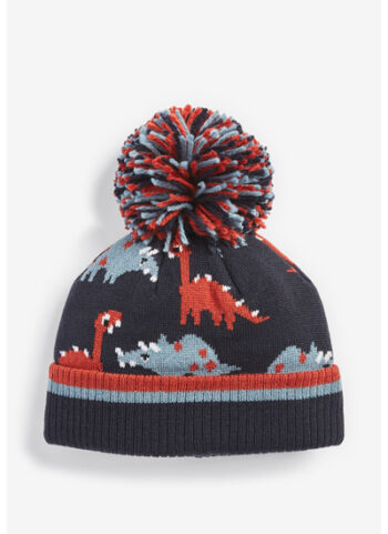 pom beanie hat