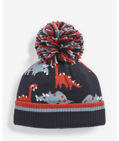 pom beanie hat