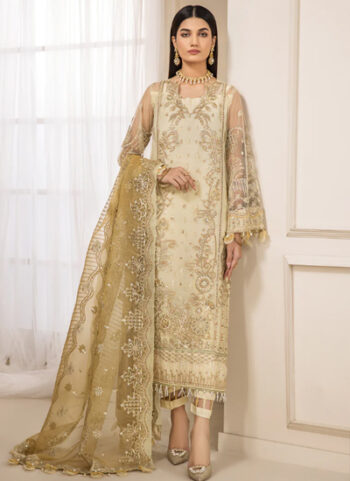 Embroidered Dress With Dyed Silk Trouser