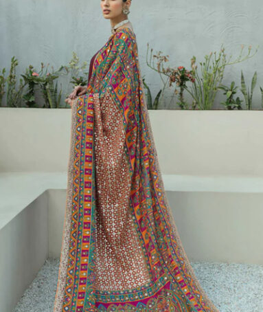 Embroidered Mannat Multi Shawl