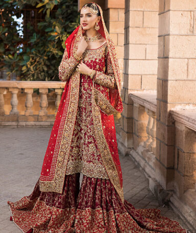 Red Embellished Designer Bridal Dress