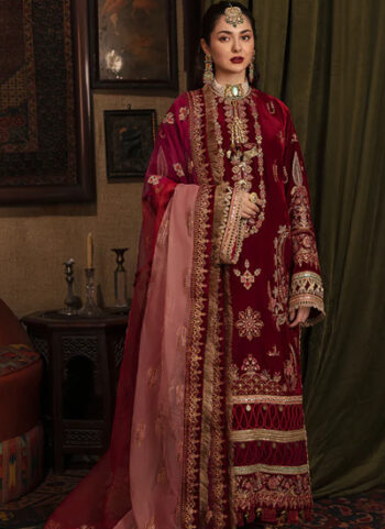 Zeenat Luxury Embroidered Velvet Dress