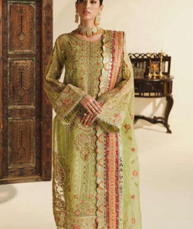 Embroidered Organza Dupatta With Embroidered Dress