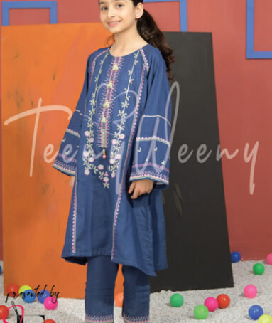 Two Pc Embroidered Suit Kids Ethnic Wear