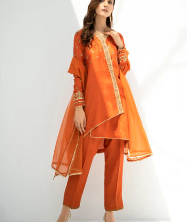 3 Piece Stitched Raw Silk Dress